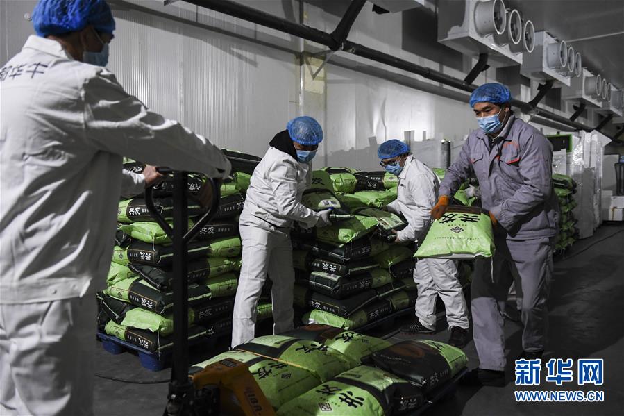 （抓好經(jīng)濟(jì)發(fā)展 應(yīng)對復(fù)雜局面&middot;圖文互動）（1）&ldquo;一企一策&rdquo;解難題 大項(xiàng)目按下&ldquo;加速器&rdquo;&mdash;&mdash;廣西精準(zhǔn)有序推動項(xiàng)目開工復(fù)工