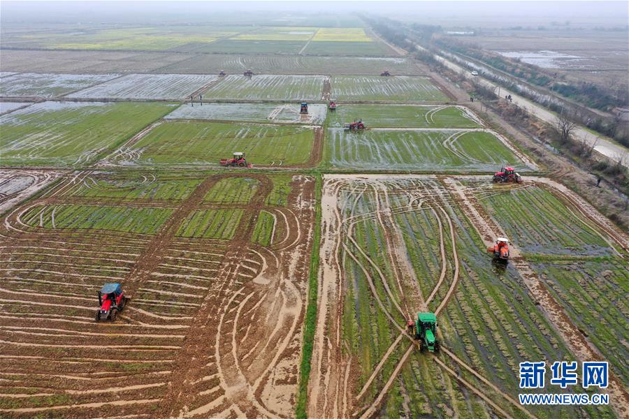 （抓好春耕備耕 穩(wěn)住農(nóng)業(yè)生產(chǎn)&middot;圖文互動(dòng)）（2）智能農(nóng)機(jī)、&ldquo;訂單&rdquo;服務(wù)、&ldquo;云端&rdquo;種菜&mdash;&mdash;來自江西的春耕&ldquo;新事&rdquo;