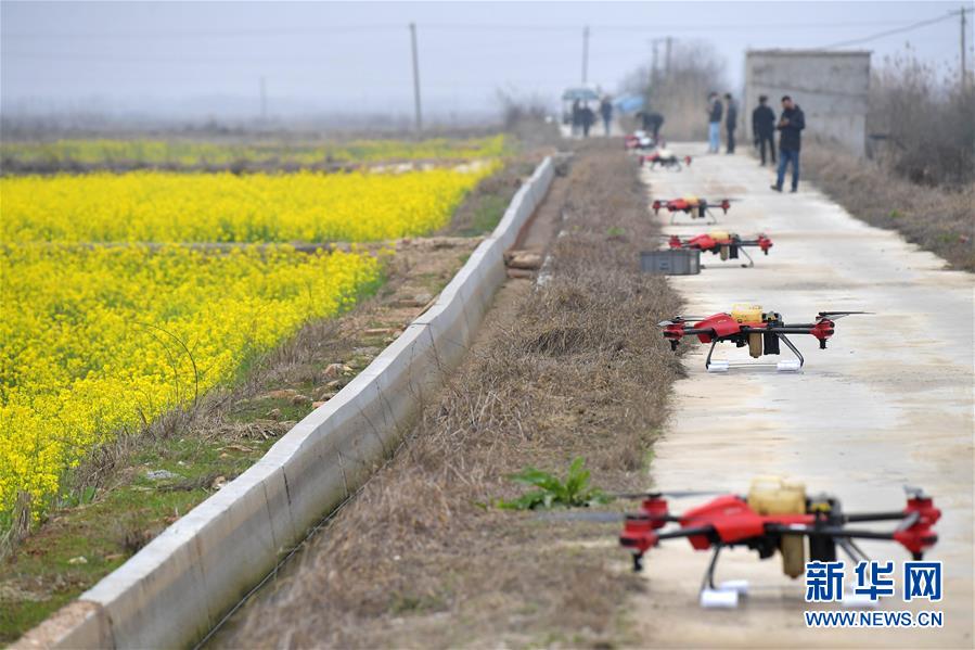 （抓好春耕備耕 穩(wěn)住農(nóng)業(yè)生產(chǎn)&middot;圖文互動(dòng)）（4）智能農(nóng)機(jī)、&ldquo;訂單&rdquo;服務(wù)、&ldquo;云端&rdquo;種菜&mdash;&mdash;來自江西的春耕&ldquo;新事&rdquo;