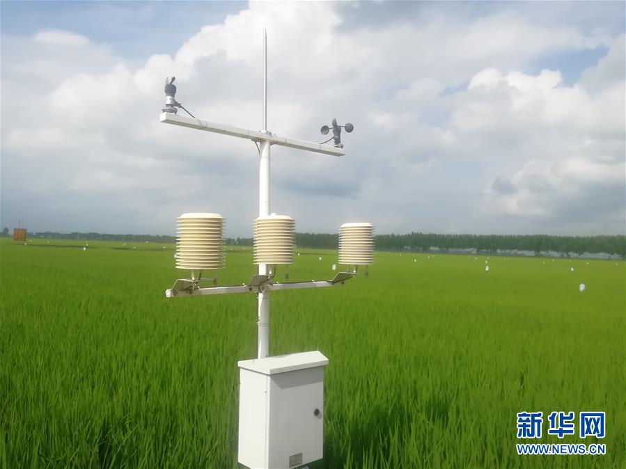 （在習近平新時代中國特色社會主義思想指引下&mdash;&mdash;新時代新作為新篇章&middot;習近平總書記關切事&middot;圖文互動）（8）為農田注入硬核生產力&mdash;&mdash;一些地方春耕中農業(yè)科技創(chuàng)新掃描