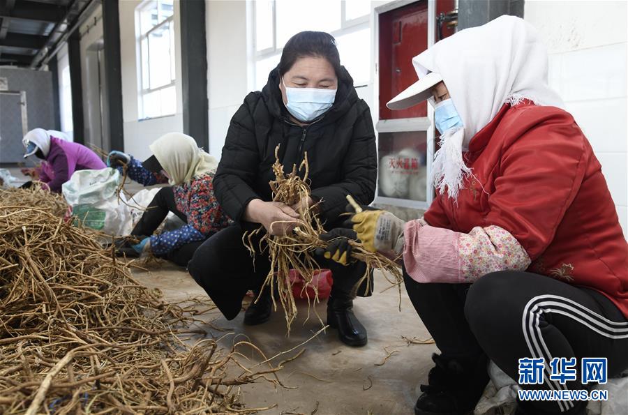 （新華全媒頭條·圖文互動）（2）特殊時期，他們這樣履職——全國人大代表這個春天在行動
