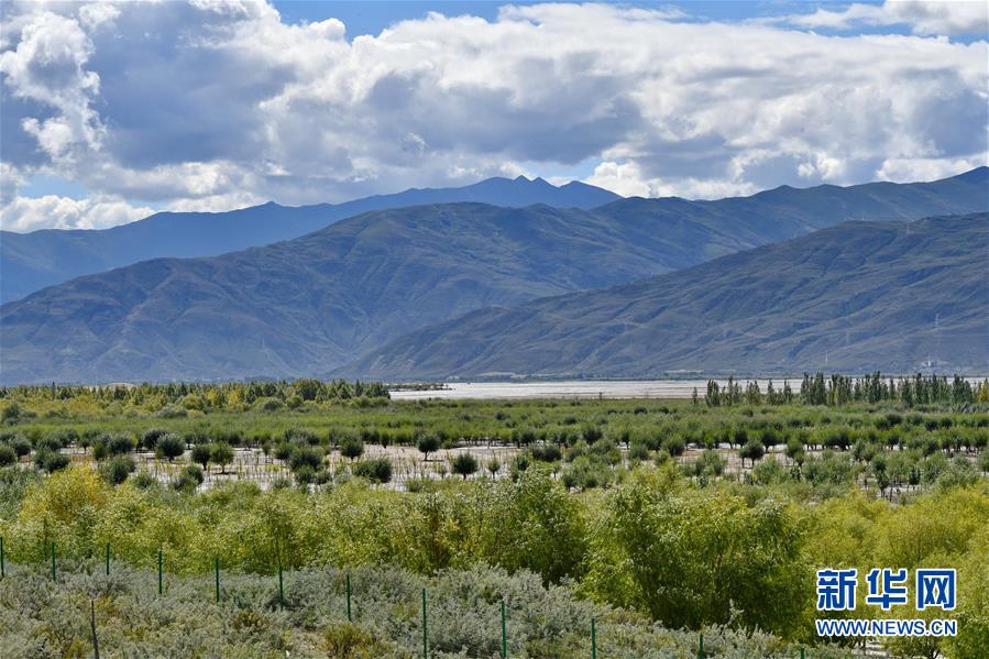 （圖文互動）（4）&ldquo;今天的生活，就像夢里夢到那樣甜&rdquo;&mdash;&mdash;寫在西藏百萬農(nóng)奴解放61周年之際