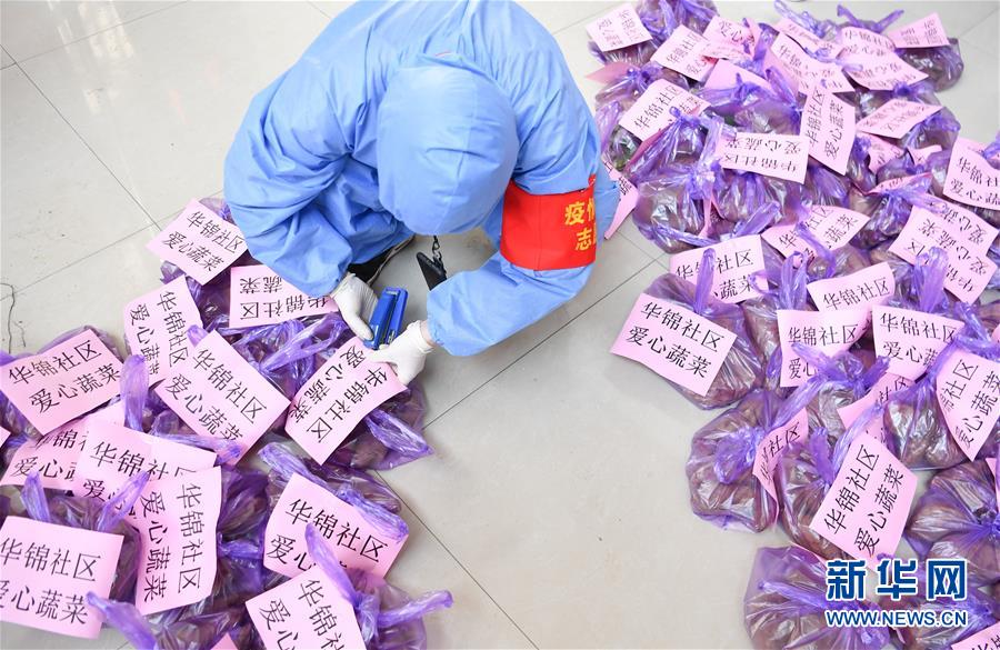 （習(xí)近平致敬的戰(zhàn)“疫”英雄·志愿者篇·圖文互動）（11）他們，微光成炬照征程