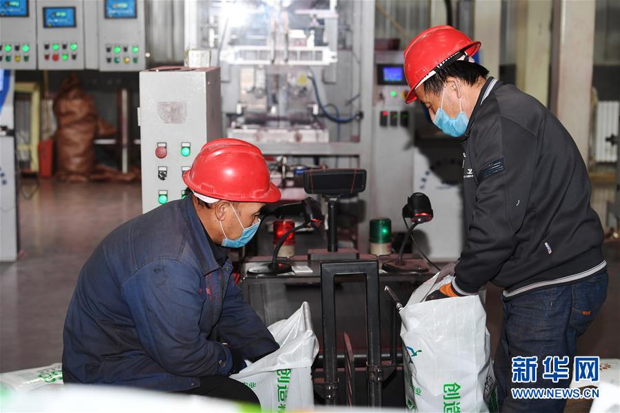 （抓好春耕備耕 穩(wěn)住農業(yè)生產·圖文互動）（2）走向泥土是我們的終極夢想——一粒種子的自述