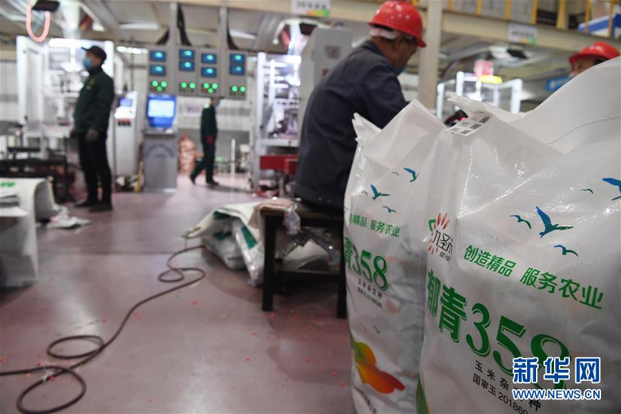 （抓好春耕備耕 穩(wěn)住農業(yè)生產·圖文互動）（5）走向泥土是我們的終極夢想——一粒種子的自述
