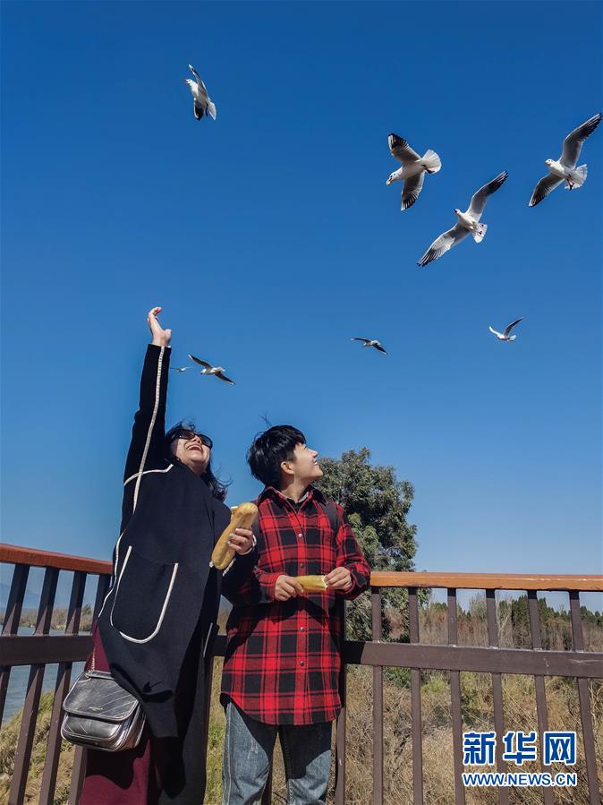 （一線抗疫群英譜·圖文互動）（1）大學生志愿者譚藝西：在武漢，我和媽媽共戰(zhàn)“疫”