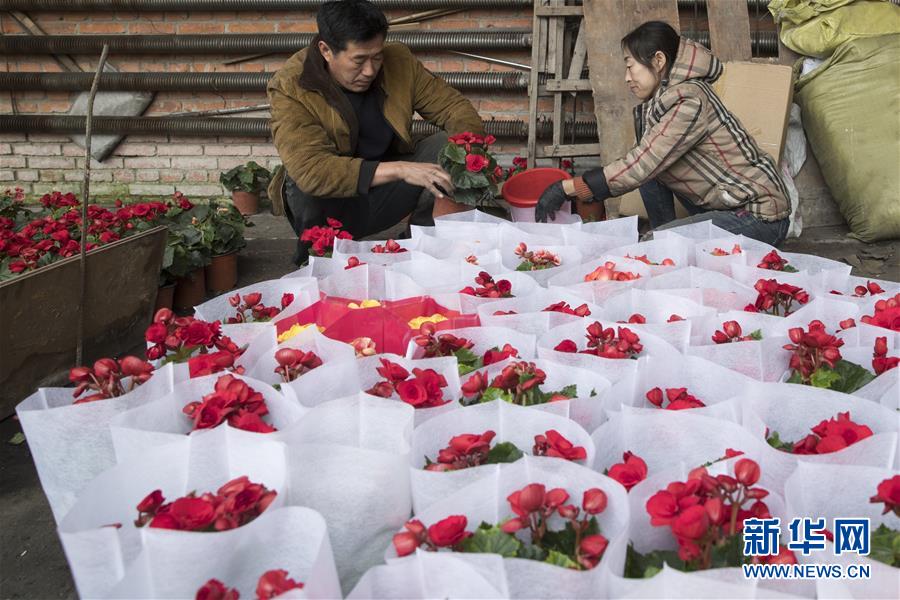 （在習近平新時代中國特色社會主義思想指引下&mdash;&mdash;新時代新作為新篇章&middot;習近平總書記關(guān)切事&middot;圖文互動）（1）希望的田野，希望的春天&mdash;&mdash;各地農(nóng)業(yè)生產(chǎn)新動態(tài)掃描