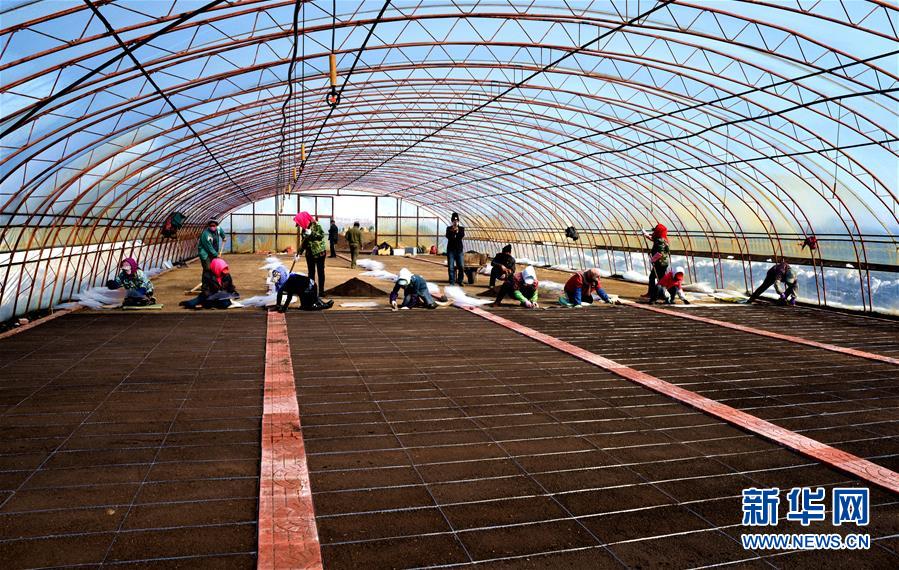 （在習近平新時代中國特色社會主義思想指引下&mdash;&mdash;新時代新作為新篇章&middot;習近平總書記關(guān)切事&middot;圖文互動）（5）希望的田野，希望的春天&mdash;&mdash;各地農(nóng)業(yè)生產(chǎn)新動態(tài)掃描