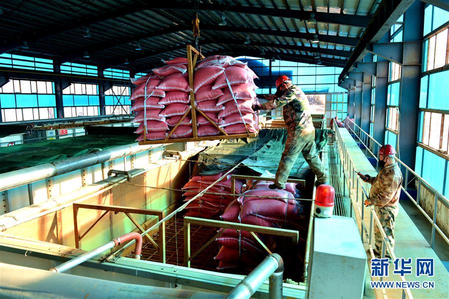 （在習近平新時代中國特色社會主義思想指引下&mdash;&mdash;新時代新作為新篇章&middot;習近平總書記關(guān)切事&middot;圖文互動）（6）希望的田野，希望的春天&mdash;&mdash;各地農(nóng)業(yè)生產(chǎn)新動態(tài)掃描