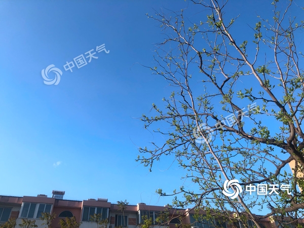 陣風(fēng)8級！北京遭遇雨后大降溫 北風(fēng)勁吹需添衣