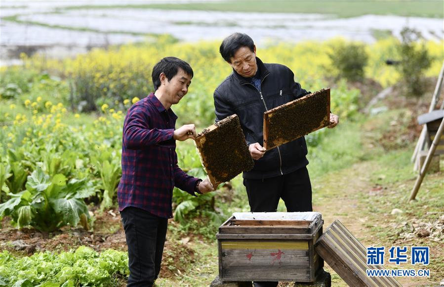 （決戰(zhàn)決勝脫貧攻堅(jiān)&middot;圖文互動(dòng)）（2）一位農(nóng)民的產(chǎn)業(yè)扶貧成績單 