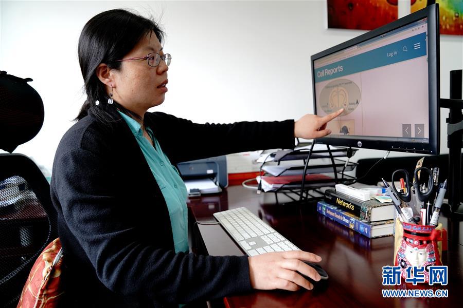 （圖文互動(dòng)）（1）攻擊行為如何被大腦控制？科學(xué)家在小鼠大腦中發(fā)現(xiàn)&ldquo;調(diào)節(jié)開(kāi)關(guān)&rdquo;