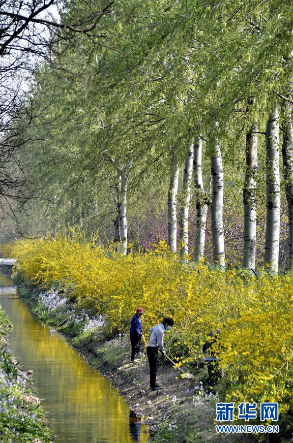 （新華全媒頭條&middot;圖文互動）（4）永遠(yuǎn)的夢想 永恒的追求&mdash;&mdash;寫在北京世園會開幕一周年之際