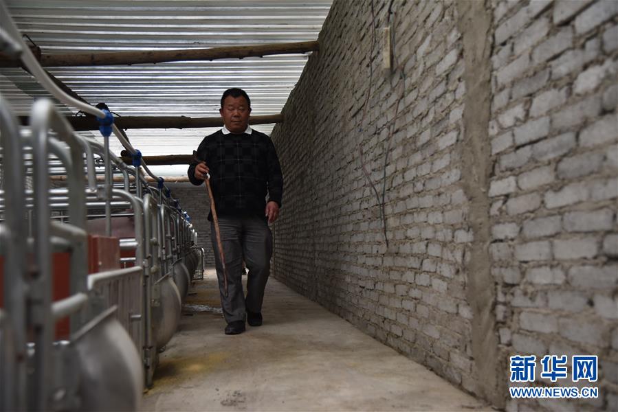 (新華全媒頭條·圖文互動(dòng))(6)刺梨花開(kāi)滿山紅——記在貴州脫貧攻堅(jiān)一線奮斗的殘疾人