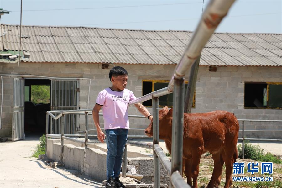 (新華全媒頭條·圖文互動(dòng))(8)刺梨花開(kāi)滿山紅——記在貴州脫貧攻堅(jiān)一線奮斗的殘疾人