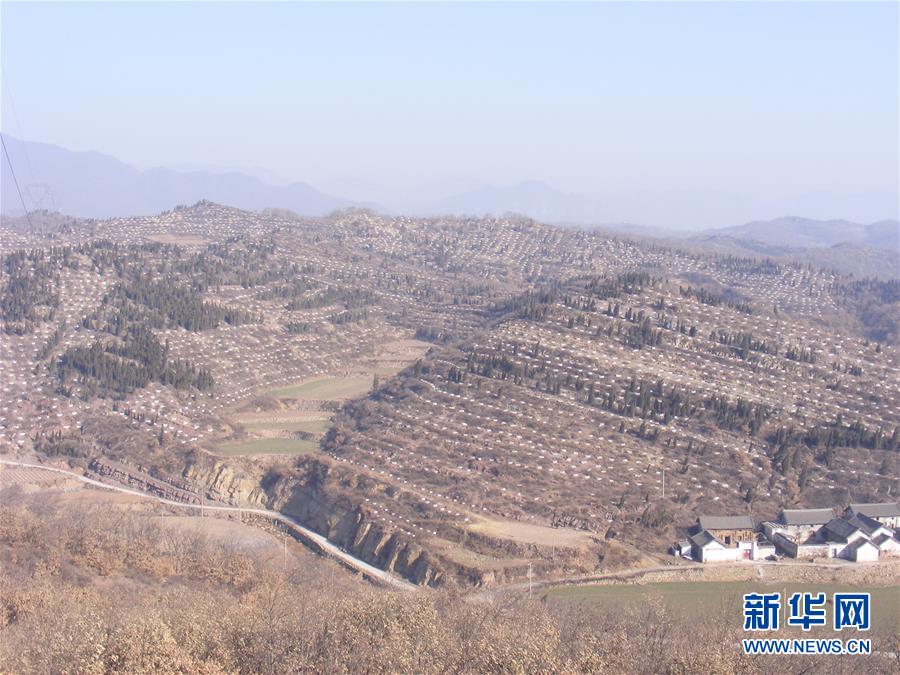 （決戰(zhàn)決勝脫貧攻堅(jiān)&middot;圖文互動(dòng)）（2）&ldquo;愚公&rdquo;治山