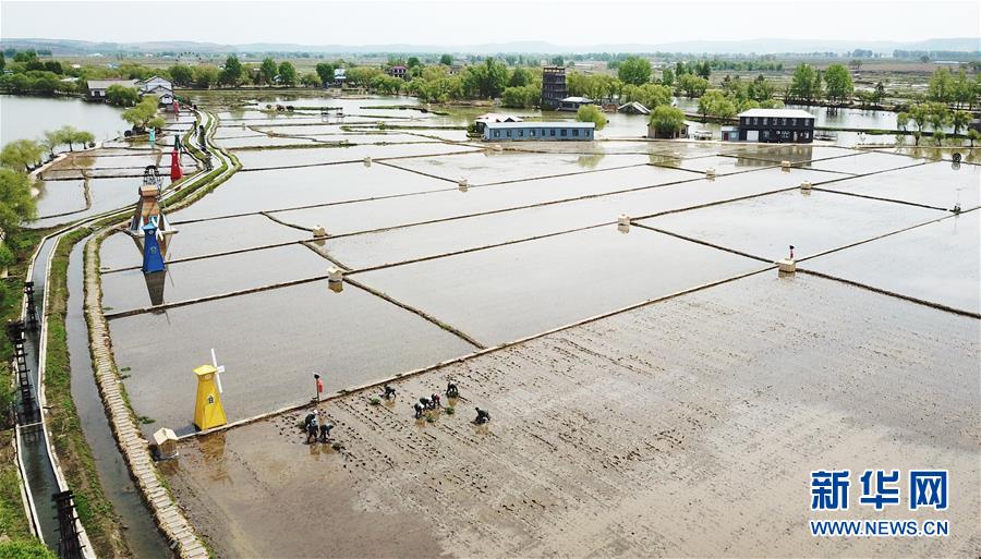 （在習(xí)近平新時(shí)代中國特色社會主義思想指引下&mdash;&mdash;新時(shí)代新作為新篇章&middot;習(xí)近平總書記關(guān)切事&middot;圖文互動）（1）讓每一寸耕地都成為豐收的沃土&mdash;&mdash;我國加強(qiáng)耕地保護(hù)推進(jìn)&ldquo;藏糧于地&rdquo;