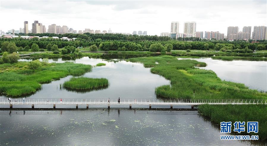 （走向我們的小康生活·圖文互動）（1）水清、地綠、空氣新——最北省份黑龍江繪就生態(tài)治理新畫卷