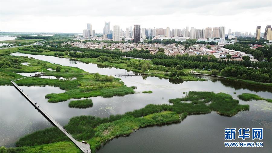 （走向我們的小康生活·圖文互動）（2）水清、地綠、空氣新——最北省份黑龍江繪就生態(tài)治理新畫卷