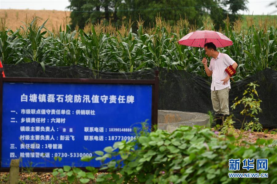 （防汛抗洪&middot;圖文互動(dòng)）（1）&ldquo;險(xiǎn)情不可怕，可怕的是不能及時(shí)發(fā)現(xiàn)險(xiǎn)情&rdquo;&mdash;&mdash;洞庭湖巡堤查險(xiǎn)現(xiàn)場(chǎng)直擊