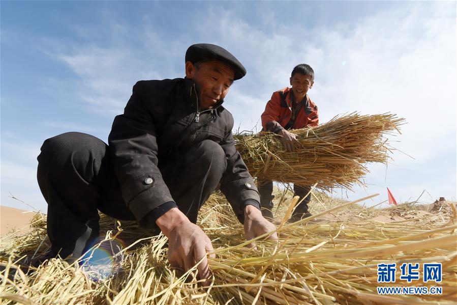 （在習(xí)近平新時(shí)代中國(guó)特色社會(huì)主義思想指引下——新時(shí)代新作為新篇章·習(xí)近平總書記關(guān)切事·圖文互動(dòng)）（5）綠色映底蘊(yùn)，山水見初心——生態(tài)優(yōu)先、綠色發(fā)展持續(xù)造福群眾美好生活