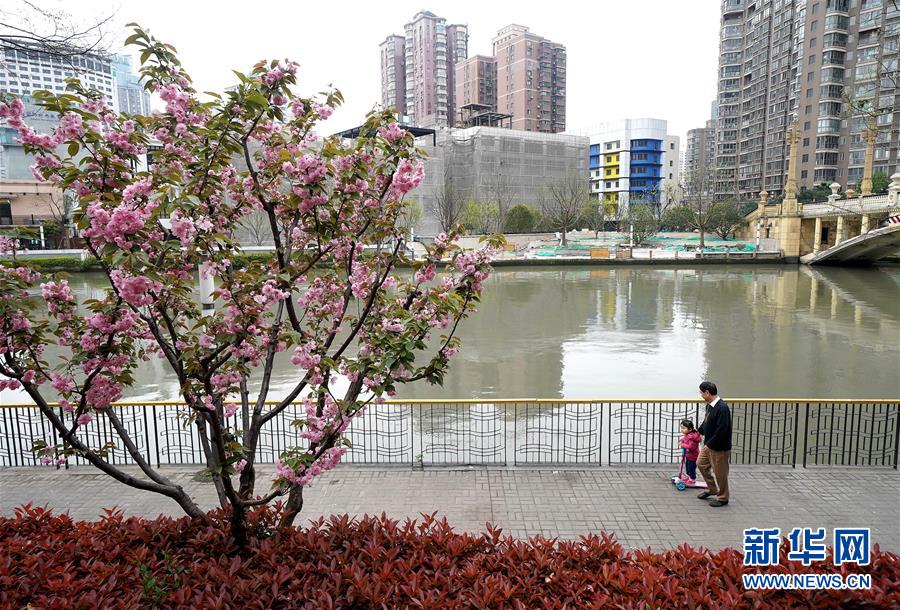 （新華全媒頭條·走向我們的小康生活·圖文互動）（12）城市，讓人民生活更美好