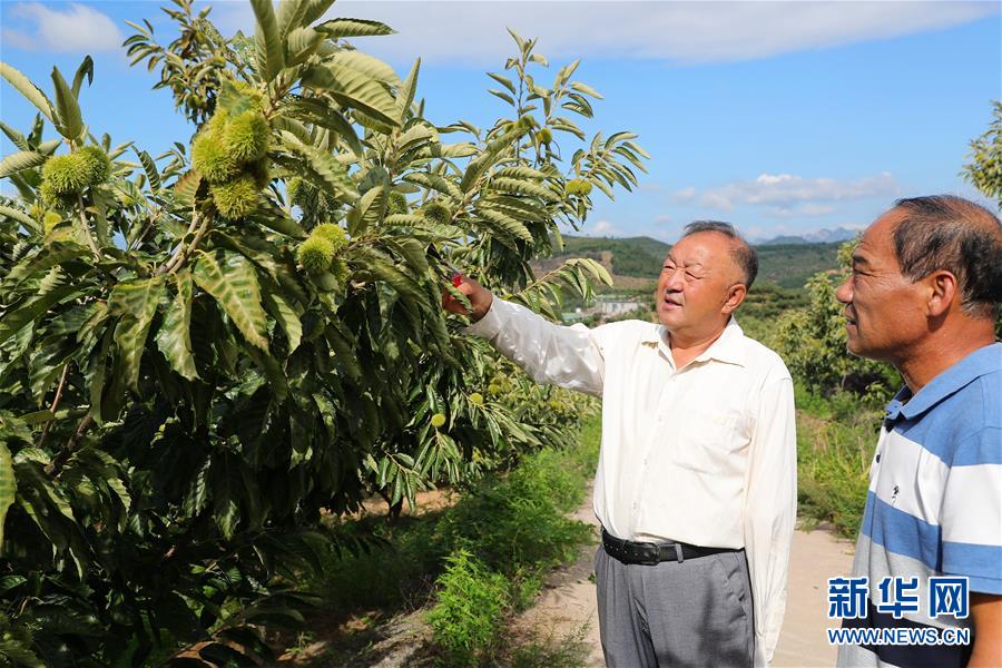 （新華全媒頭條·走向我們的小康生活·圖文互動）（11）長城腳下，小康村串成“珍珠鏈”