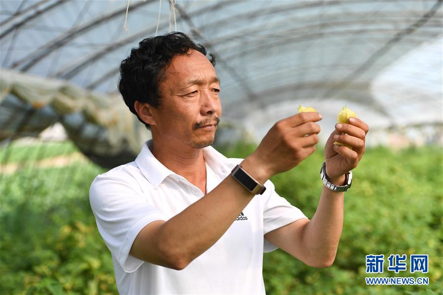 （新華全媒頭條·走向我們的小康生活·圖文互動）（7）黑土地上是我家——在吉林，一瞥中國東北鄉(xiāng)村美麗未來