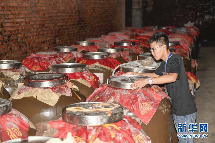 （新華全媒頭條·走向我們的小康生活·圖文互動）（13）黑土地上是我家——在吉林，一瞥中國東北鄉(xiāng)村美麗未來