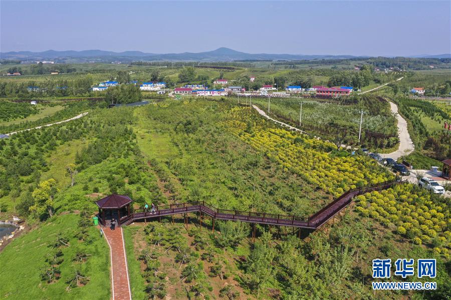 （新華全媒頭條·走向我們的小康生活·圖文互動）（16）黑土地上是我家——在吉林，一瞥中國東北鄉(xiāng)村美麗未來