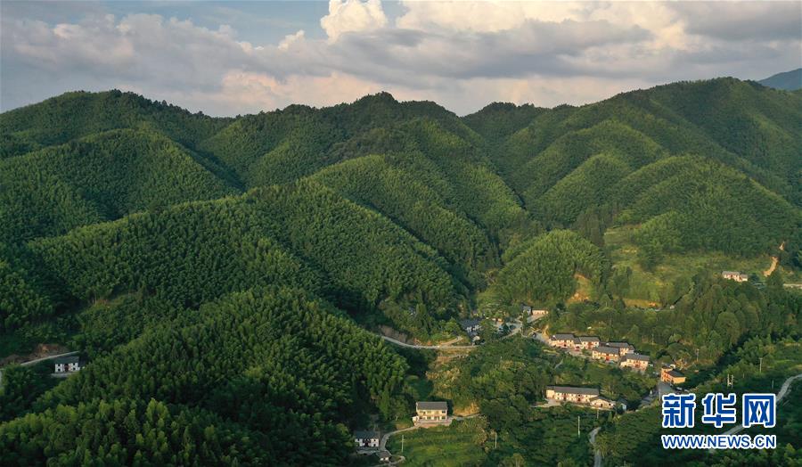 （新華全媒頭條·走向我們的小康生活·圖文互動）（2）神山村“神奇”何在？——井岡山深處覓答案