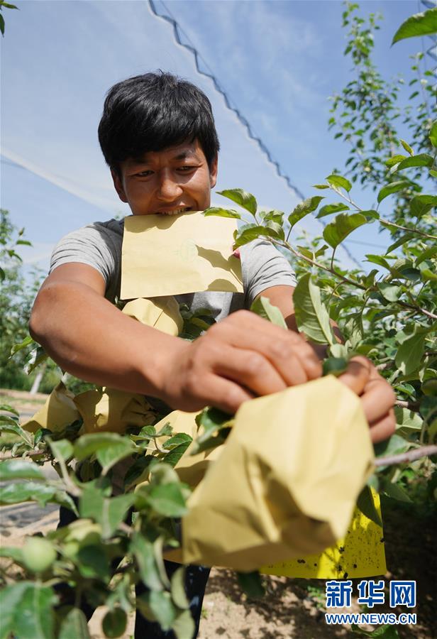 （習(xí)近平的小康故事&middot;圖文互動）（2）&ldquo;我很期盼的一件事，就是讓鄉(xiāng)親們飽餐一頓肉&rdquo;&mdash;&mdash;習(xí)近平和脫貧攻堅的故事