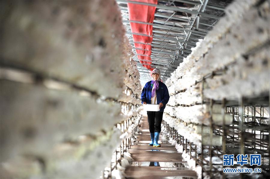 （習(xí)近平的小康故事&middot;圖文互動）（6）&ldquo;我很期盼的一件事，就是讓鄉(xiāng)親們飽餐一頓肉&rdquo;&mdash;&mdash;習(xí)近平和脫貧攻堅的故事