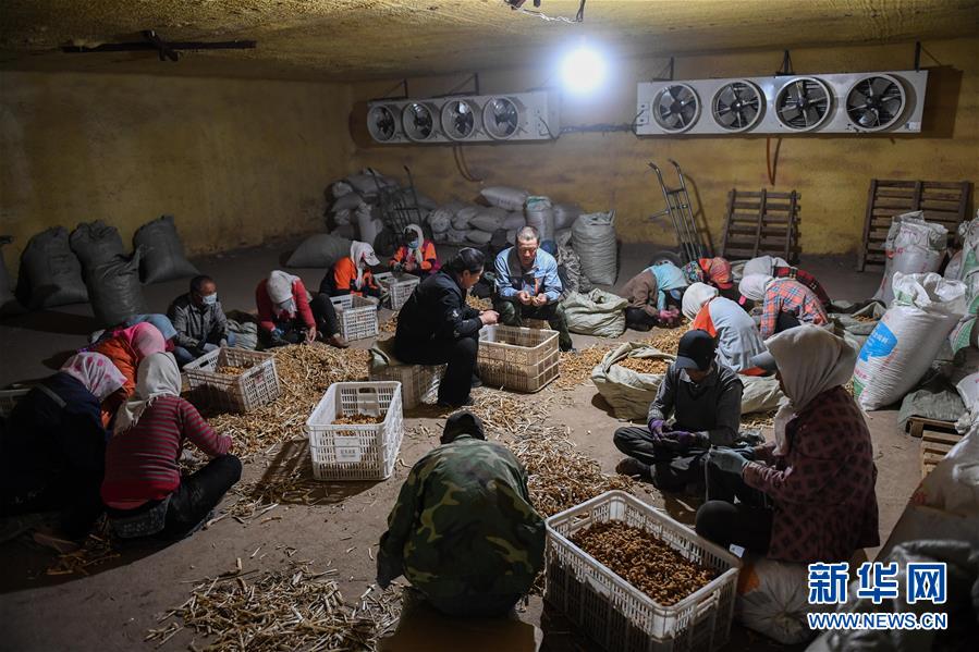 （習(xí)近平的小康故事&middot;圖文互動）（8）&ldquo;我很期盼的一件事，就是讓鄉(xiāng)親們飽餐一頓肉&rdquo;&mdash;&mdash;習(xí)近平和脫貧攻堅的故事