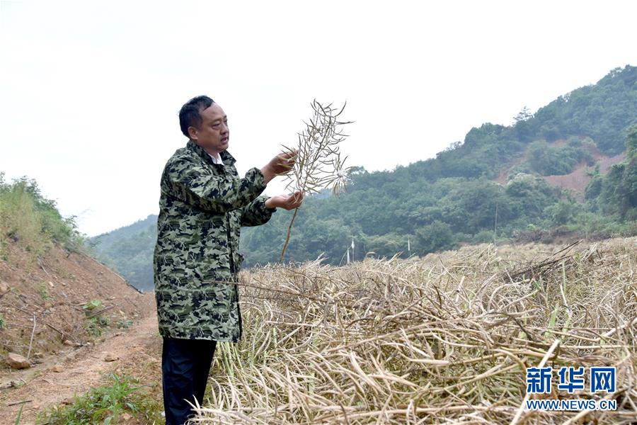 （代表委員履職·圖文互動）（1）“我是農(nóng)民代表，始終關(guān)注農(nóng)村”——全國人大代表沈昌健的履職故事