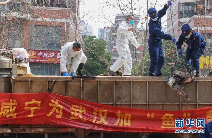 （新華全媒頭條·圖文互動）（12）從人民中汲取磅礴力量——習近平總書記同出席2020年全國兩會人大代表、政協(xié)委員共商國是紀實