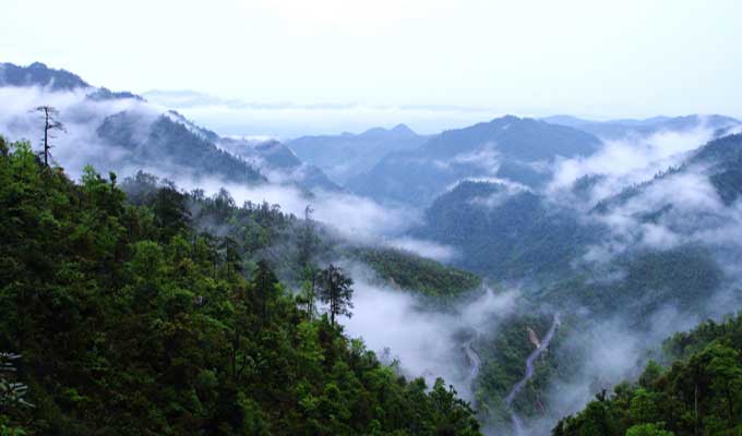 廣東乳源、廣東乳陽(yáng)林場(chǎng)、云南華寧葫蘆口電站