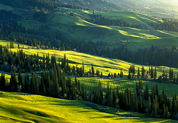 【長(zhǎng)篇通訊】塞罕壩，京城綠色屏障的前世今生