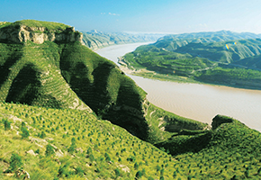 張建龍：&ldquo;三北工程&rdquo;實(shí)現(xiàn)生態(tài)、經(jīng)濟(jì)、社會(huì)效益&ldquo;多贏&rdquo;