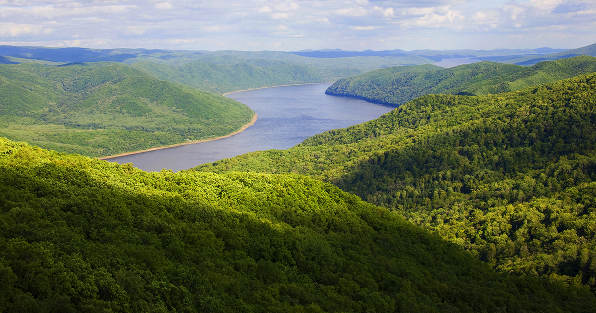 張建龍：&ldquo;三北工程&rdquo;實(shí)現(xiàn)生態(tài)、經(jīng)濟(jì)、社會(huì)效益&ldquo;多贏&rdquo;
