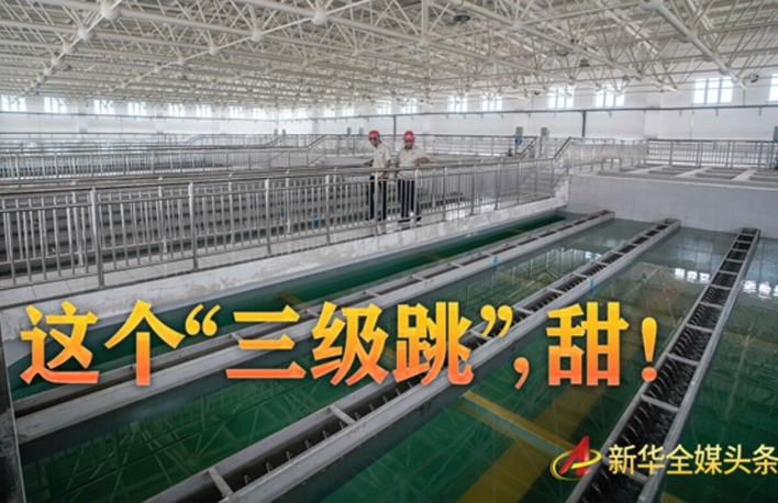 這個&ldquo;三級跳&rdquo;，甜！