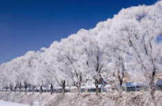 全國初雪時間表出爐 看看你離初雪還有多遠(yuǎn)？