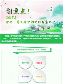 劃重點(diǎn)！2019年中央一號文件中的硬任務(wù)怎么干
