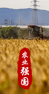 農(nóng)業(yè)強(qiáng)國是社會(huì)主義現(xiàn)代化強(qiáng)國的根基。