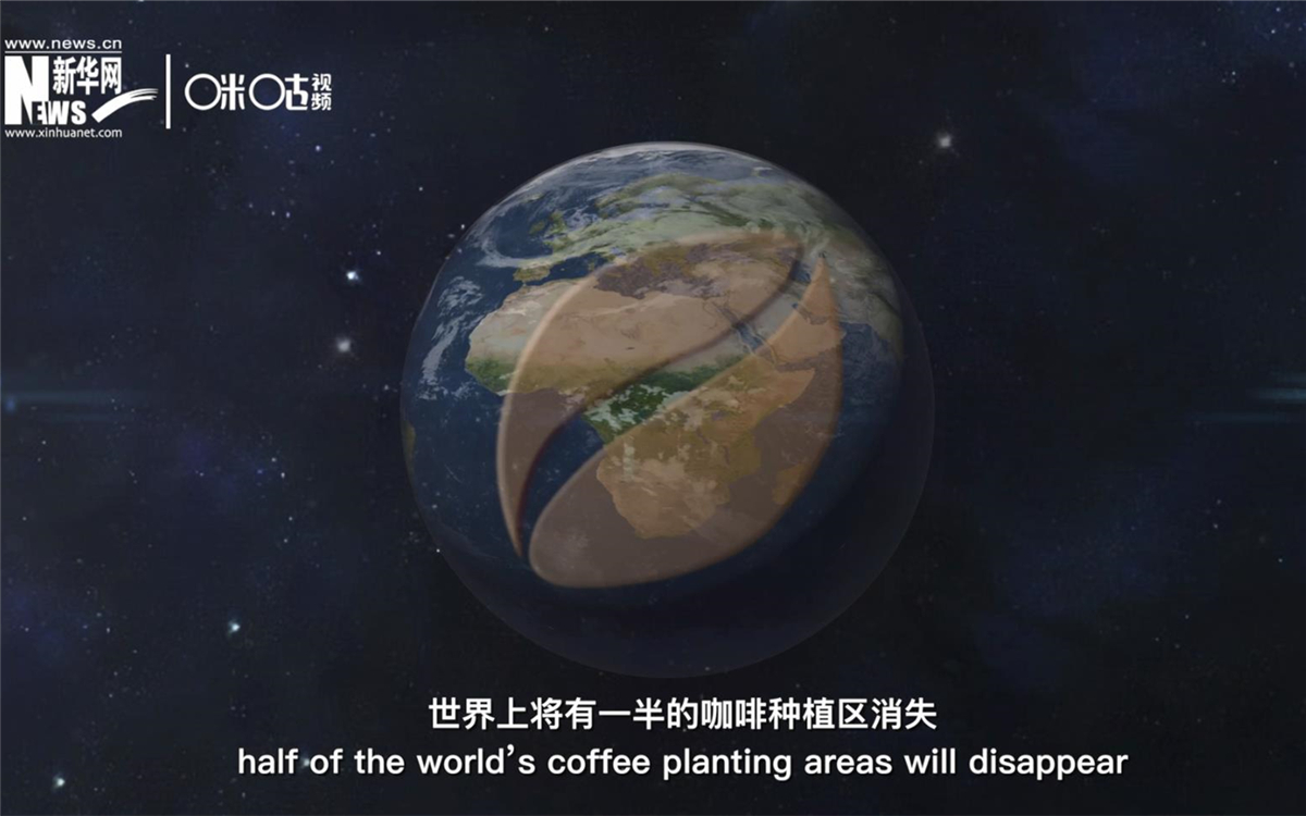 科學(xué)家預(yù)測到三十年后，世界上將有一半的咖啡種植區(qū)消失