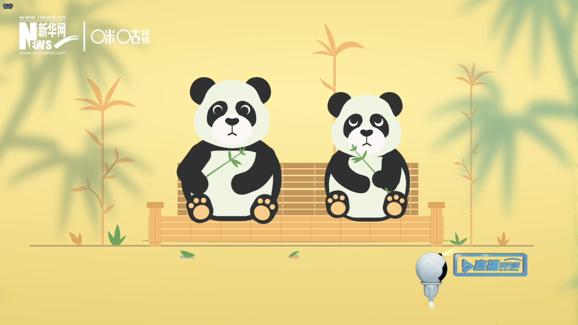 “哥哥你看，又有人來看我們了。”“有什么奇怪的，我們可是聯(lián)合國‘最萌’的大使啊！”。