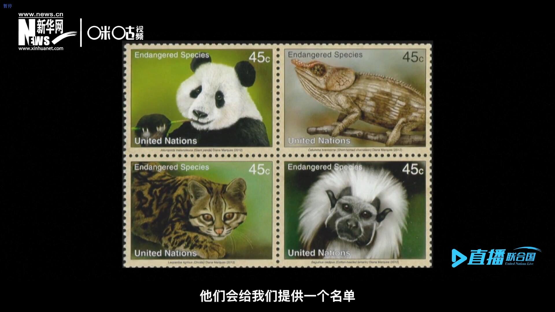 CITES（瀕危野生動(dòng)植物種國際貿(mào)易公約）會(huì)給聯(lián)合國郵政設(shè)計(jì)師提供一個(gè)名單，雙方共同合作在附錄中找到名單中應(yīng)該受到關(guān)注的動(dòng)物。