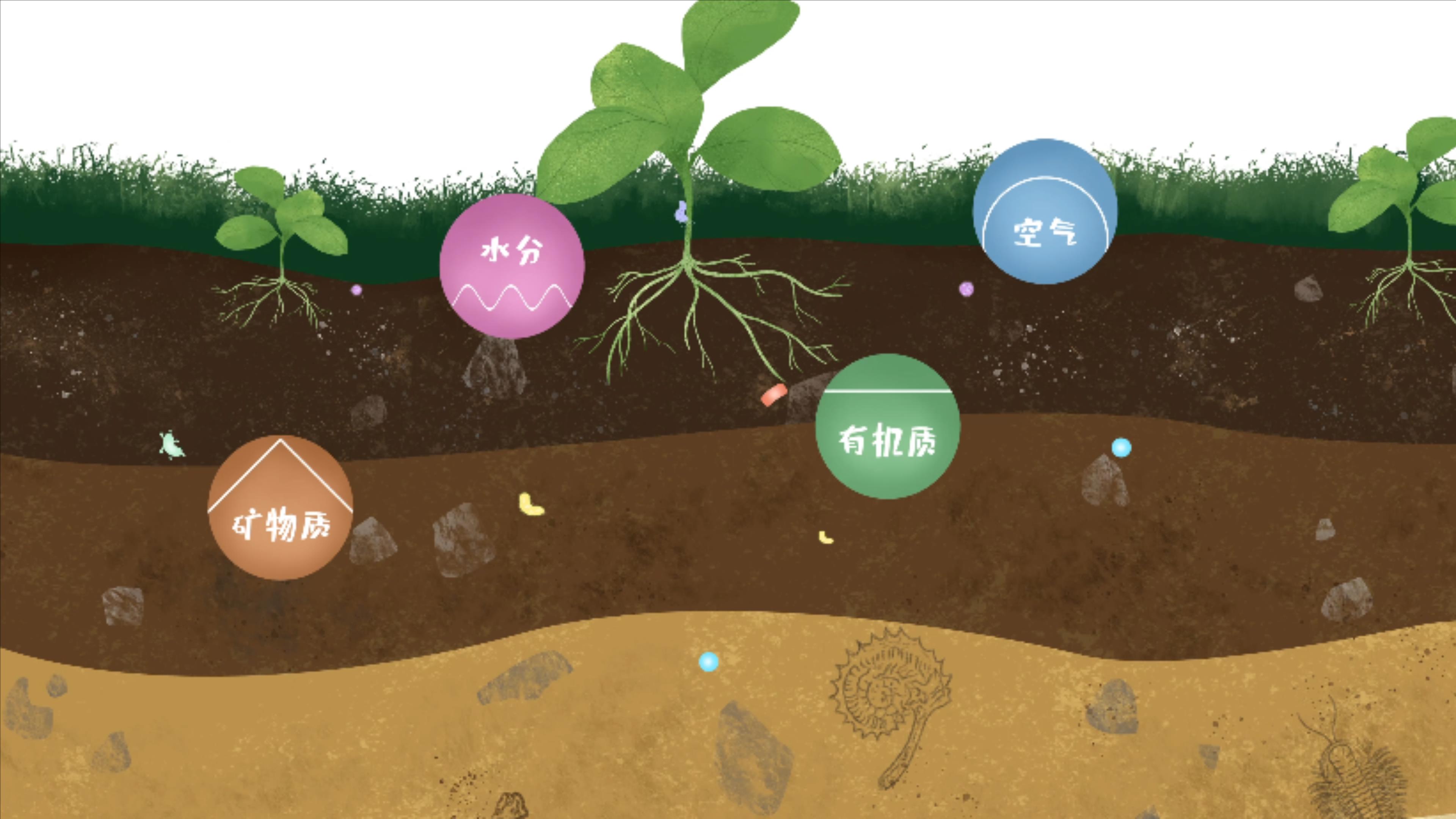 土壤由礦物質(zhì)、有機(jī)質(zhì)、水分、空氣及包括微生物在內(nèi)的生物體等組成