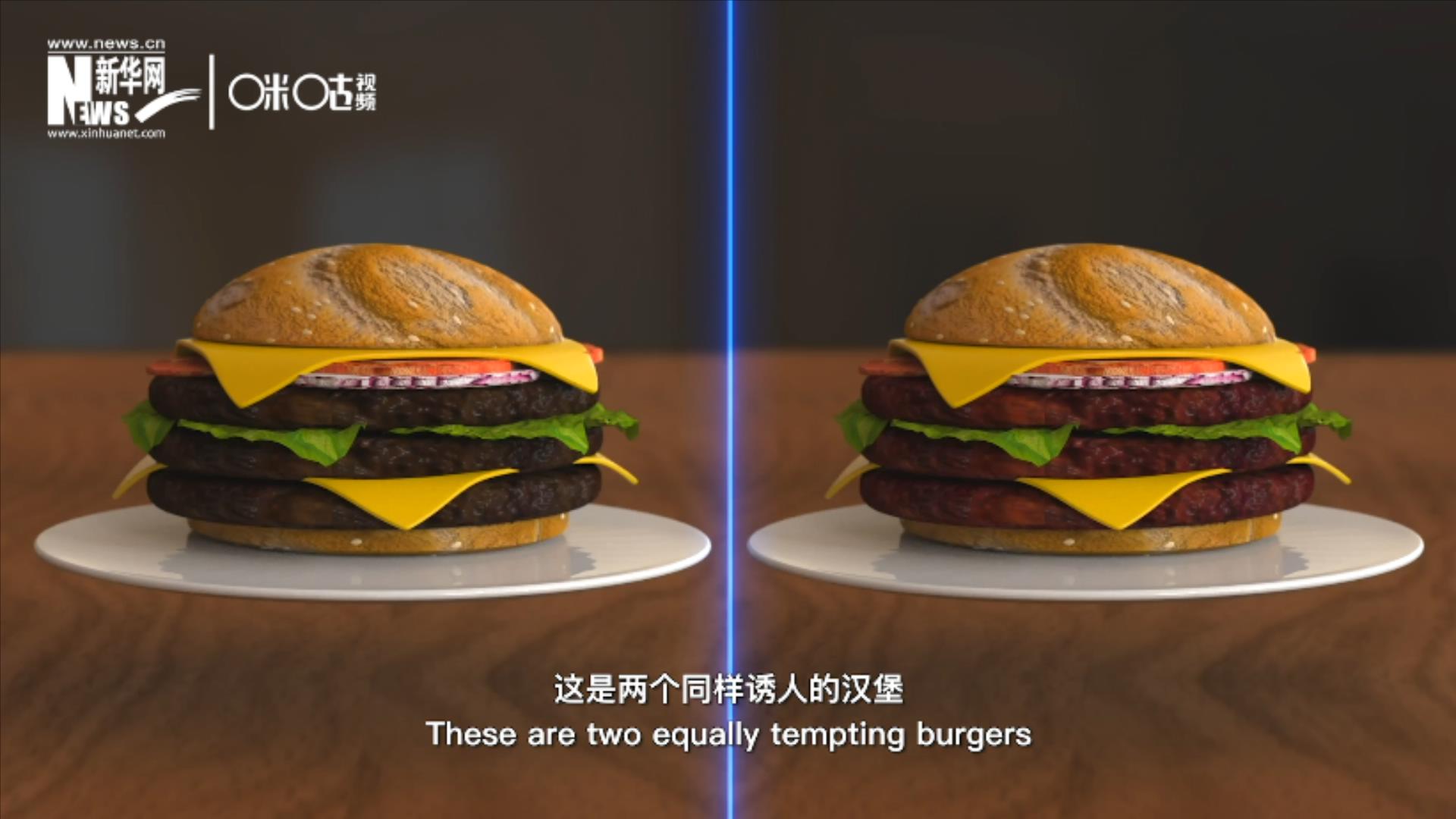 人造肉漢堡能在生產(chǎn)過程中節(jié)約水、土地、排放以及能量