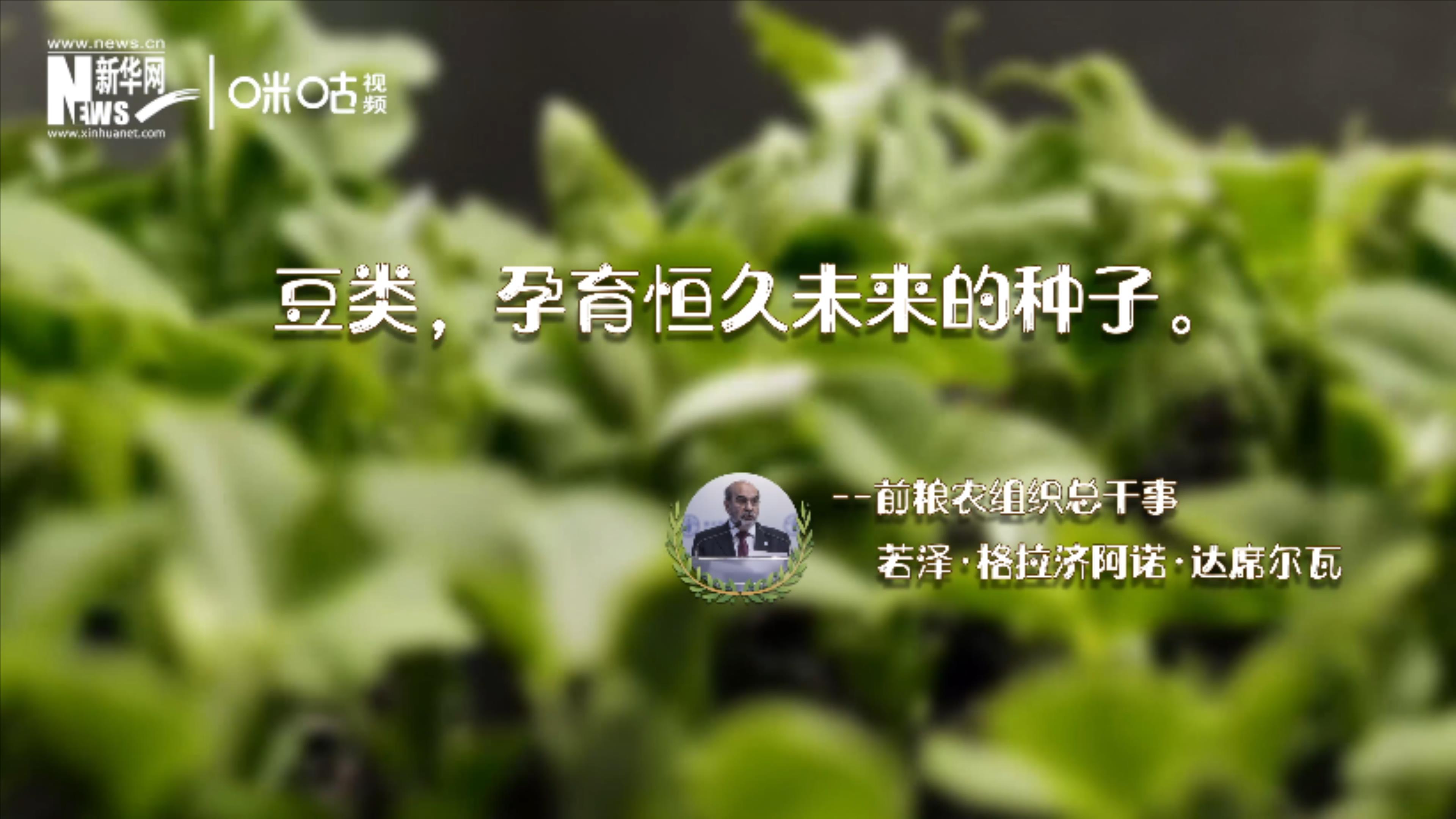 豆類，孕育恒久未來(lái)的種子